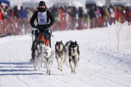 Lenk 2013